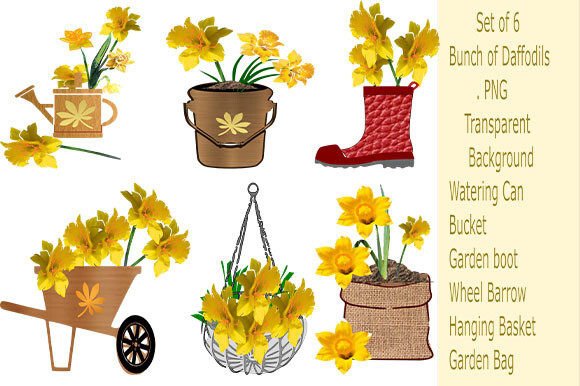 A Bunch Daffodils Set 2: Graphics for Editorial Use